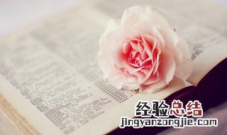 简单的晚安留言短句子 简单的晚安心语怎么写