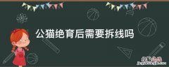 公猫做完绝育后要拆线吗 公猫绝育后需要拆线吗
