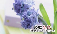 畏畏缩缩是什么意思 畏畏缩缩的出处
