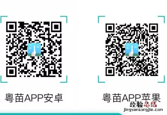 清远新冠疫苗如何网上预约? 清远新冠疫苗预约怎么网上预约