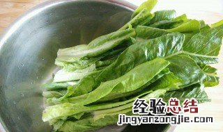 莴苣叶做法窍门 叶用莴苣的做法