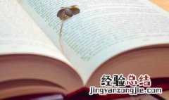 飘飘摇摇的词语解释 飘飘摇摇的词语意思