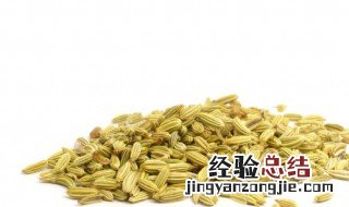 茴香吃法大全集 茴香的做法大全