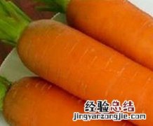 胡萝卜怎么吃好