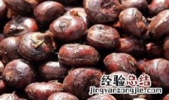 马蹄煮水的功效与作用 马蹄煮水的功效与作用禁忌