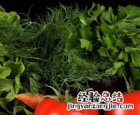 绿色蔬菜怎样吃最有营养 怎么吃绿色蔬菜更有营养