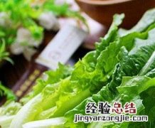 怎样挑选油麦菜 如何挑选油麦菜