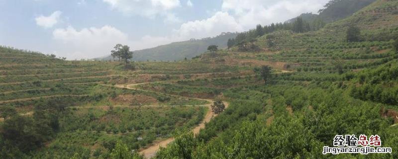承包土地种植什么挣钱 农村承包土地种地赚钱吗