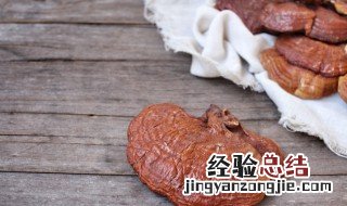 想知道灵芝有什么功效 想知道灵芝有什么功效呢