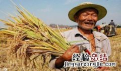 三农是指的哪三农 三农是什么
