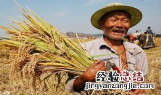 三农是指的哪三农 三农是什么