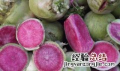 红心萝卜的做法大全 红心萝卜的做法大全图片