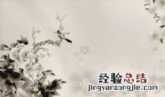力田不如逢年善仕不如遇合是什么意思 力田不如逢年善仕不如遇合释义
