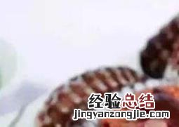 血蛤怎么吃斗地主怎么使用道具? 血蛤怎么吃