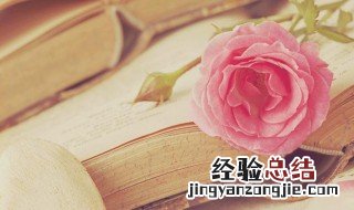 民为邦本本固邦宁的意思 民为邦国本固邦宁什么意思