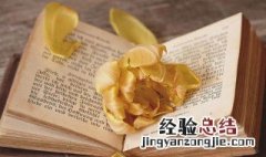 我的小天使是什么意思 小天使是什么意思