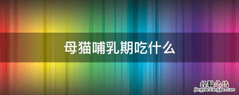 母猫哺乳期吃什么补充营养 母猫哺乳期吃什么