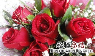 送十八朵花代表什么寓意 送十八朵花代表什么