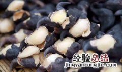 菱角有什么作用啊 菱角管什么用吃菱角有什么好处