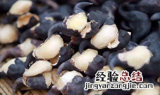 菱角有什么作用啊 菱角管什么用吃菱角有什么好处