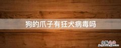 狗狗的爪子有狂犬病毒吗 狗的爪子有狂犬病毒吗