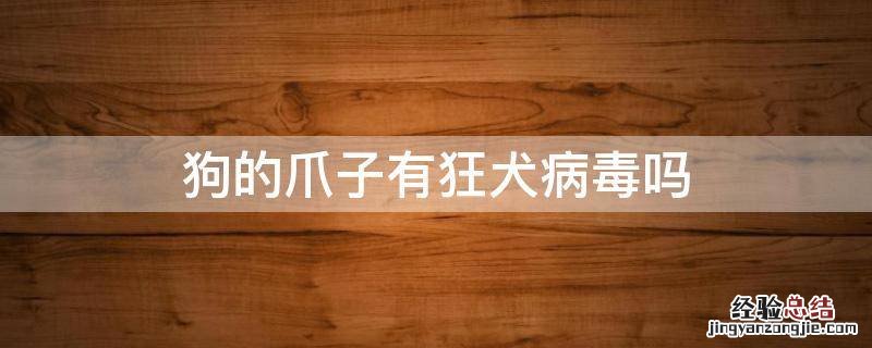 狗狗的爪子有狂犬病毒吗 狗的爪子有狂犬病毒吗