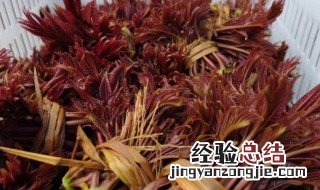香椿几月下市 香椿几月份上市