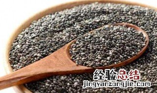免洗奇亚籽的吃法 奇亚籽的吃法