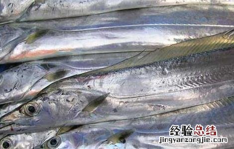 带鱼为什么都是死的呢 带鱼为什么都是死的
