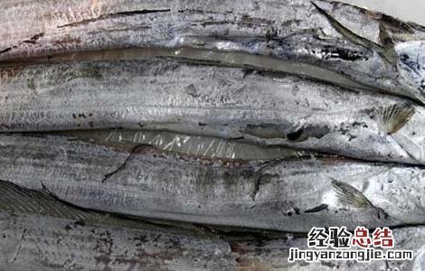 带鱼为什么都是死的呢 带鱼为什么都是死的