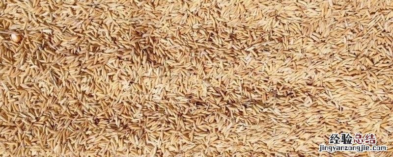 谷壳怎样发酵做肥料，有机质含量高不高