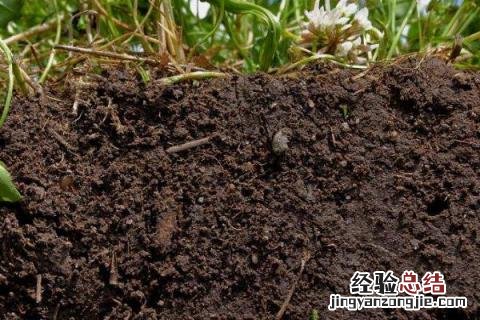 土壤孔隙分为哪几种类型?各有何主要作用? 土壤孔隙有哪三种类型