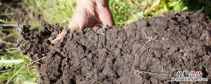 土壤孔隙分为哪几种类型?各有何主要作用? 土壤孔隙有哪三种类型
