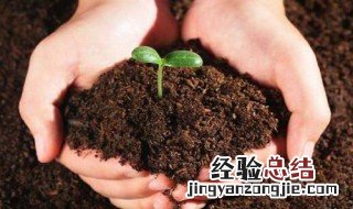 肥料怎么做 制作肥料方法