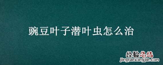 豌豆叶子潜叶虫怎么治好 豌豆叶子潜叶虫怎么治
