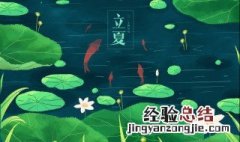 立夏的下一个节气是什么 立夏节气后面是什么节气