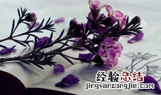 蜀道之难难于上青天到底是什么意思 蜀道之难难于上青天解释