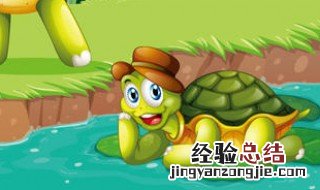 乌龟代表什么寓意 乌龟的寓意和象征
