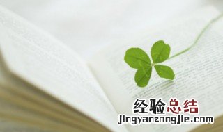 大爱无疆什么意思 大爱无疆介绍