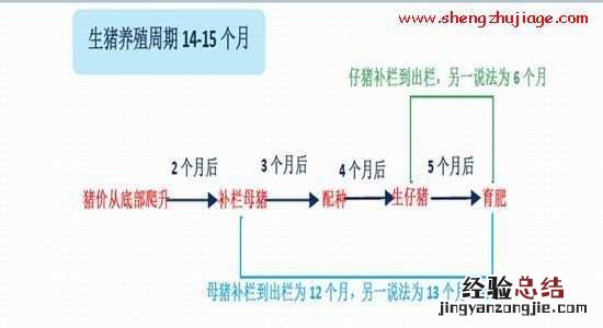 能繁母猪存栏决定生猪长期供应