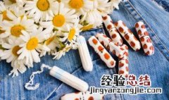 送小雏菊代表什么意思 送小雏菊代表的意思是什么