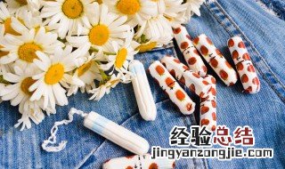 送小雏菊代表什么意思 送小雏菊代表的意思是什么