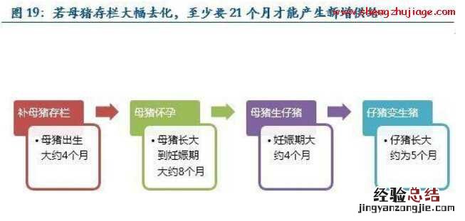 假设2015年保持猪粮比价5.5的盈亏平衡，2015年的猪肉价格为22.5