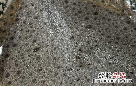 多宝鱼有毒素吗 多宝鱼真的有毒吗