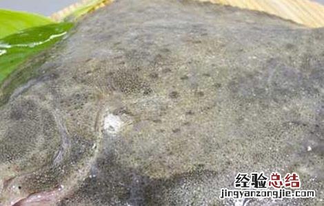 多宝鱼有毒素吗 多宝鱼真的有毒吗
