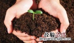 液体有机肥的制作过程是什么 液体有机肥怎么制作