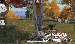 和平精英荡秋千哪个地方 荡秋千位置详解