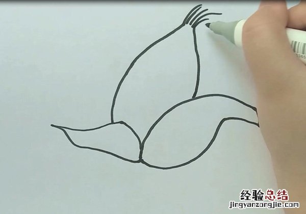 玉米简笔画简单又漂亮 玉米简笔画