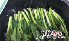 迟菜心和菜心的区别 迟菜心是菜心吗