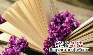 走心唯美的短句 深入走心的唯美句子